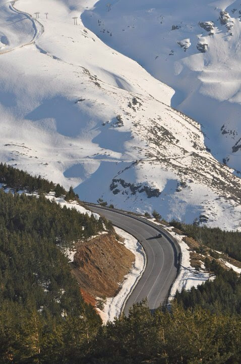 Road to Sierra Nevada